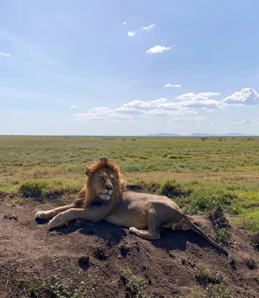 📍 Serengeti National Park