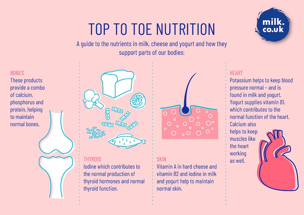The nutrients in milk, cheese and yogurt help maintain normal bones. Find out more about the nutrients in #dairy products and how they affect different parts of the body here: milk.co.uk/top-to-toe-nut…