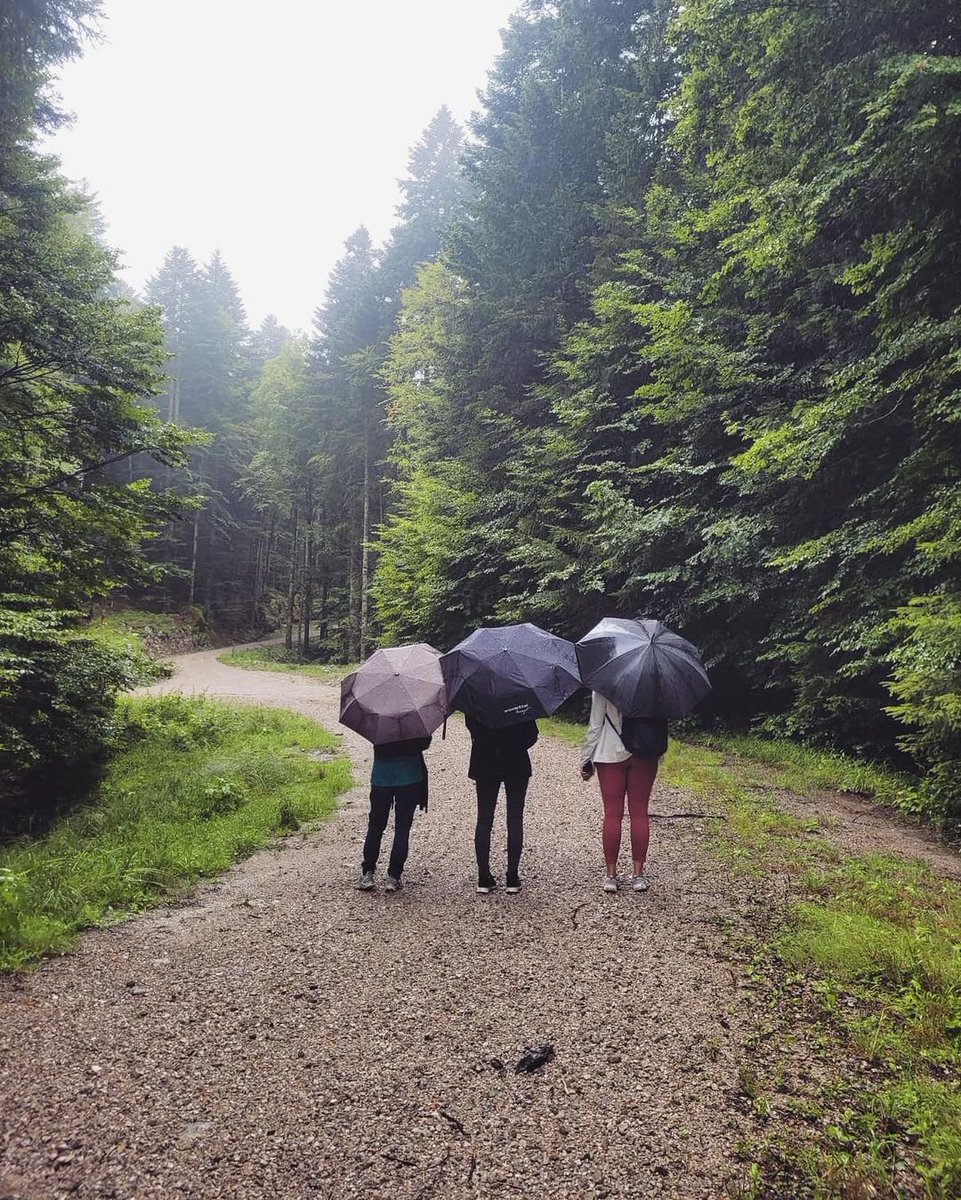 ApriilBbb's tweet photo. Spent the day with my girls in the woods and it was pure magic! 🌳👭 Nothing beats the laughter, the fresh air, and the bond we share. Who else loves unplugging and connecting with nature with their besties? #GirlSquad #NatureLovers #adventuretimeau https://t.co/ZjSHFizHs7