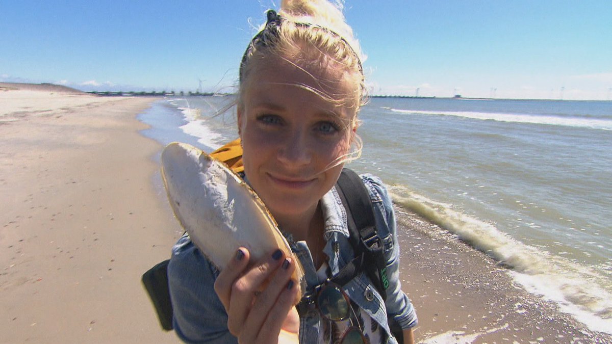 Janouk gaat op expeditie in het grootste en natste Nationale Park van Nederland: Oosterschelde. Zij gaat daar snorkelen, duiken en op zoek naar zeepaardjes en sepia’s. Janouk mag blijven slapen in een wel heel bijzonder bed, midden in het park. klokhu.is/nationaalparko…