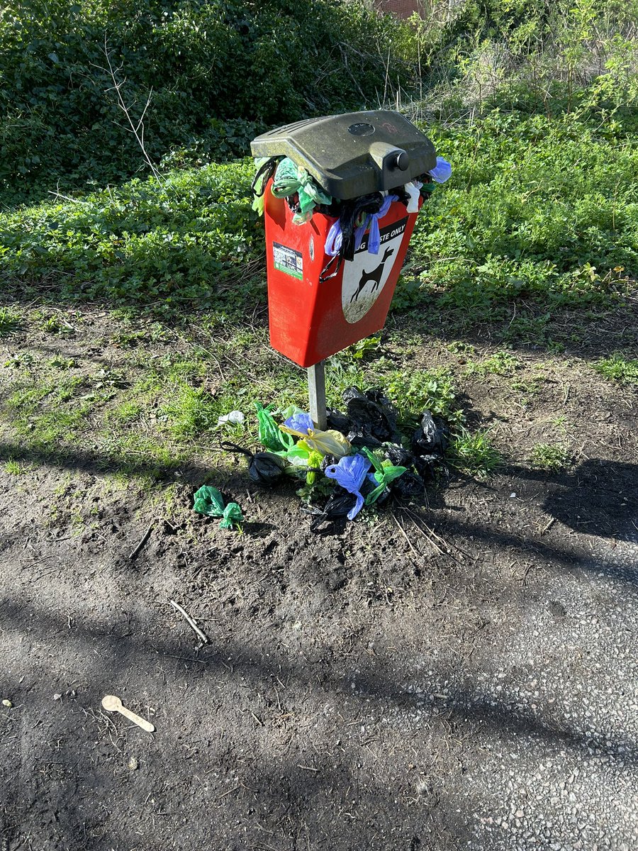 Mark Smith tweet media