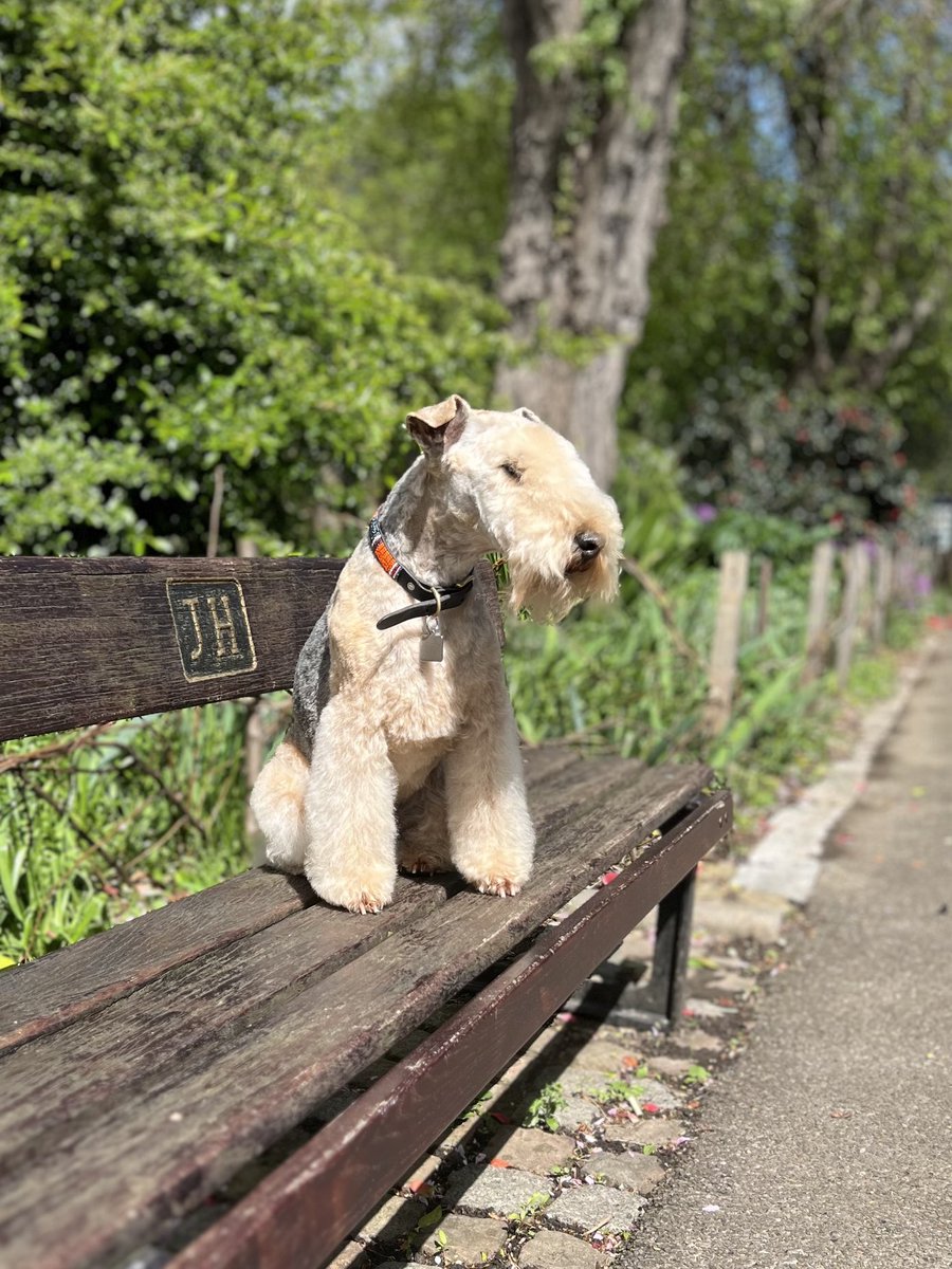 Today I shall sit here say hello and smile at passers by to bring a little cheer ❤️