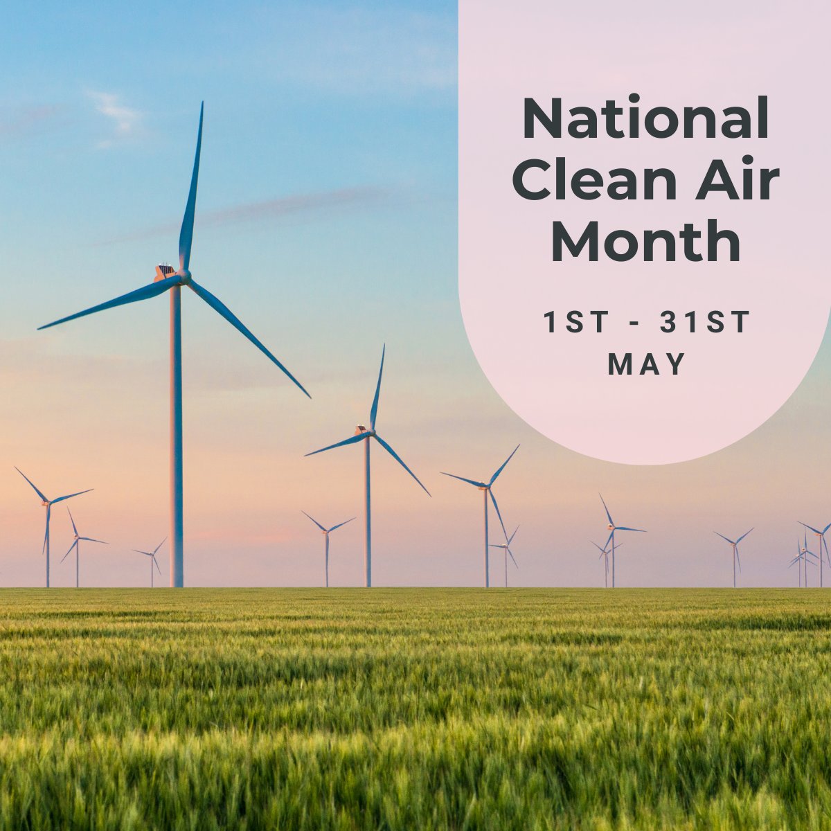 Our agency is passionate about helping protect the planet, which is why we're celebrating #NationalCleanAirMonth.

Trying to reduce our #carbonfootprint can help improve the quality of the planet and our own health.

Let's celebrate National Clean Air Month together!