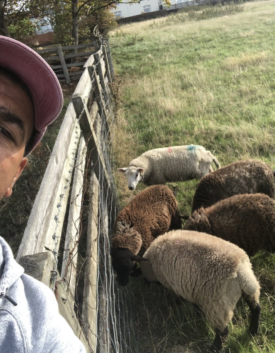 chris_kammy's tweet photo. Delighted 🤩 Honoured, and it’s my great pleasure to accept this award. Thank you Wakefield 🥳 Means so much more than just being able to take this lot 🐑 to the Town Hall 😂🤣 https://t.co/1EhyB2OHQw