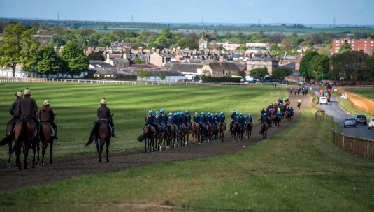 The flat is back 😎🏇☀️ As Newmarket's first meeting of the year kicks of this afternoon 🍻🍾
#newmarket #racingfactors #pick10 #karrotz