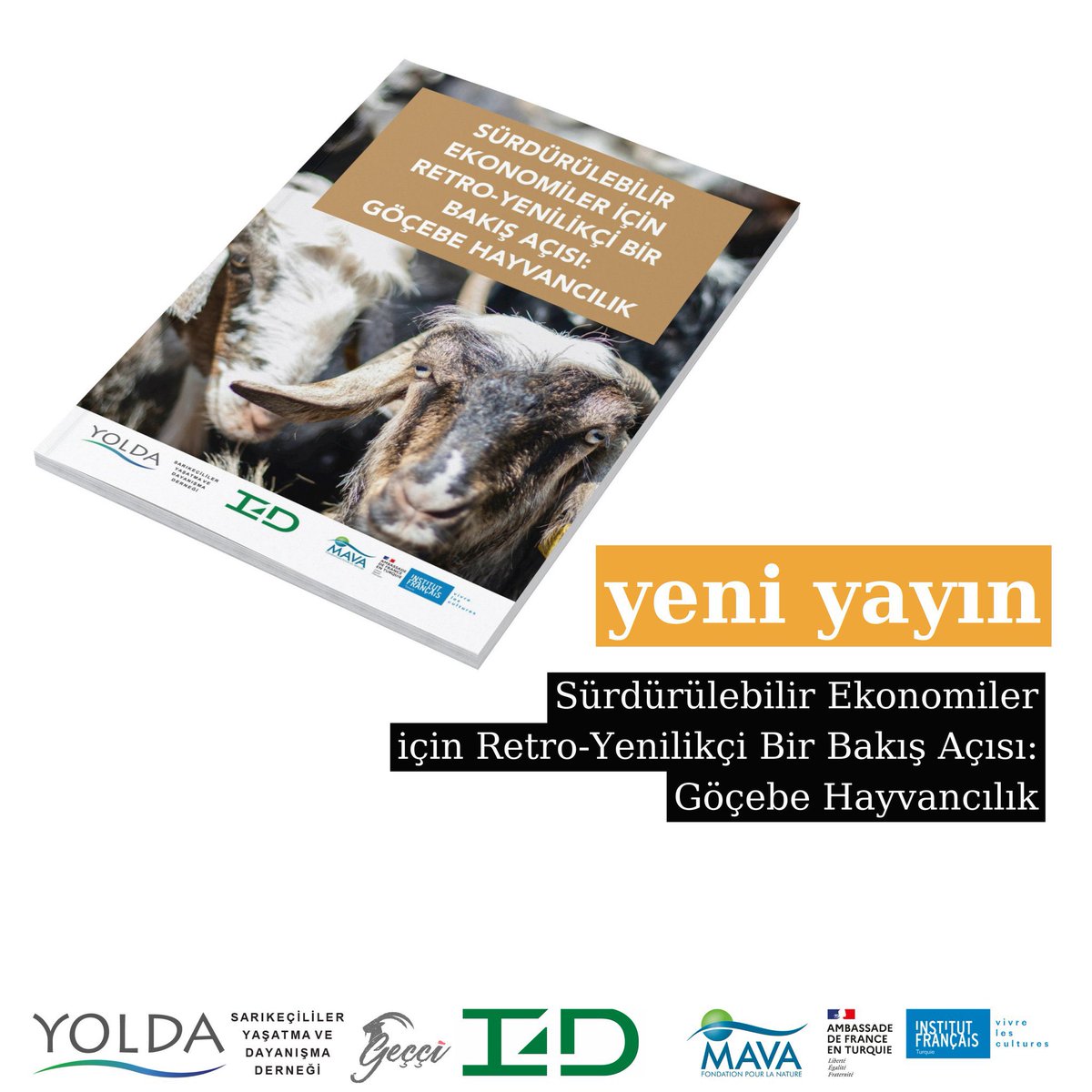 Innovation for Development tweet media