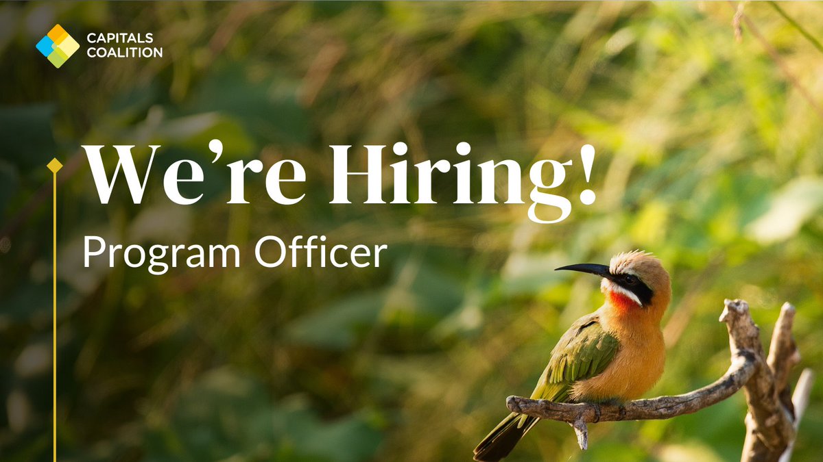 We're #hiring for a Program Officer! Are you passionate about driving impactful change through innovative projects? 📍Location: Home based in the UK or Netherlands 👓 Read the full job description and apply by 30 April 2024 capitalscoalition.org/the-coalition-…