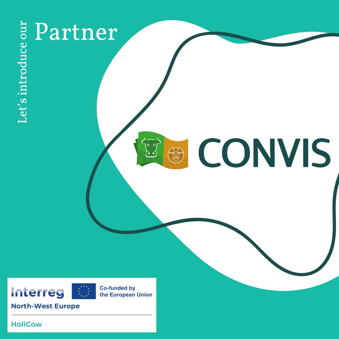 HoliCow Project tweet media