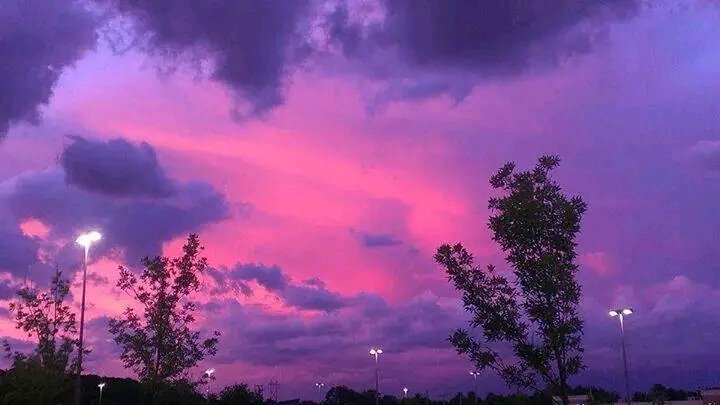 forever in love with the purple pink sky