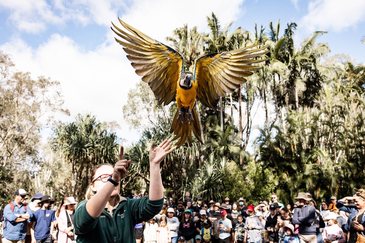 We strive to create long lasting memories for our guests from connecting with our wildlife. If we can get people to connect with an animal, hopefully they’ll be inspired to protect it💚 📷: Rachael Tagg