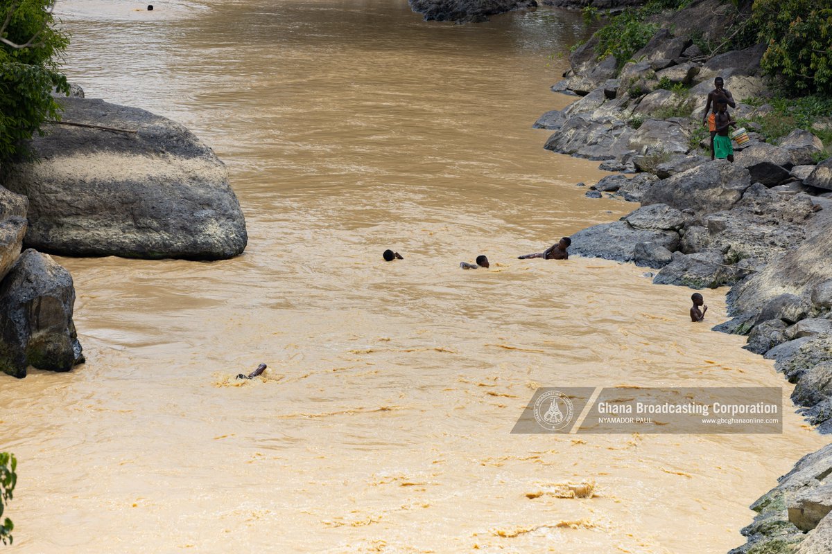 Children diving and swimming in the Bonsa River in the Western Region. #StopGalamseyNow #GBCDigitalStudios