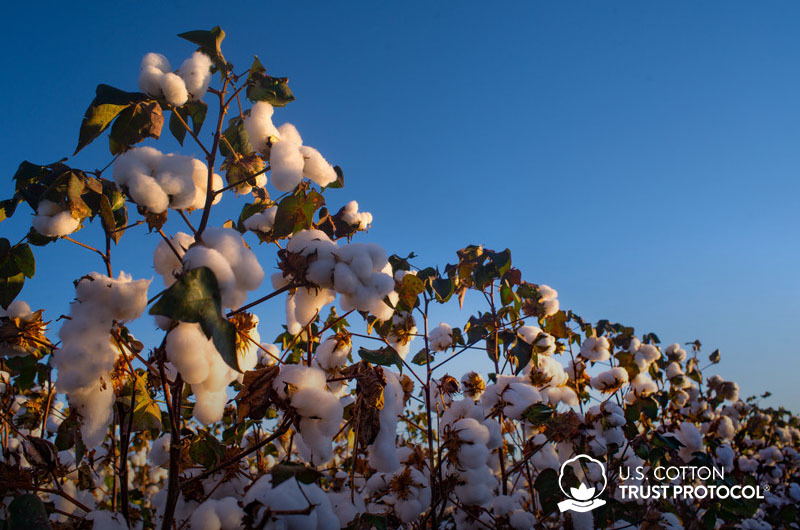 SidefuTextile's tweet photo. Our bed linens are not only luxurious and comfortable, but also sustainable and eco-friendly. Upgrade your hotel rooms with our premium linens and give your guests the ultimate sleeping experience.
#luxurybedlinens #UScotton #hotellinensupplier 
https://t.co/WRRHzMsUf4 https://t.co/flfHXbLSoO