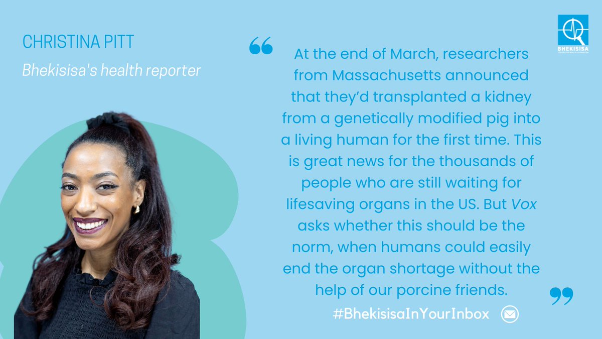 Want to know more about the first genetically modified pig-to-human kidney transplant? Read the article from @voxdotcom that @ChristinaPitt94 shared in today’s #BhekisisaInYourInbox. mailchi.mp/bhekisisa.org/…