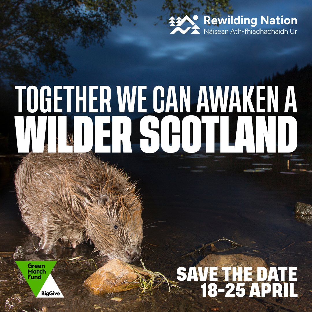 Save the date... 📅 From 18-25 April, we have an incredible opportunity to boost campaign action towards becoming a #RewildingNation... Any support you give during that time will be doubled! Will you help us lead the way to a wilder future for nature, climate and people? 💚