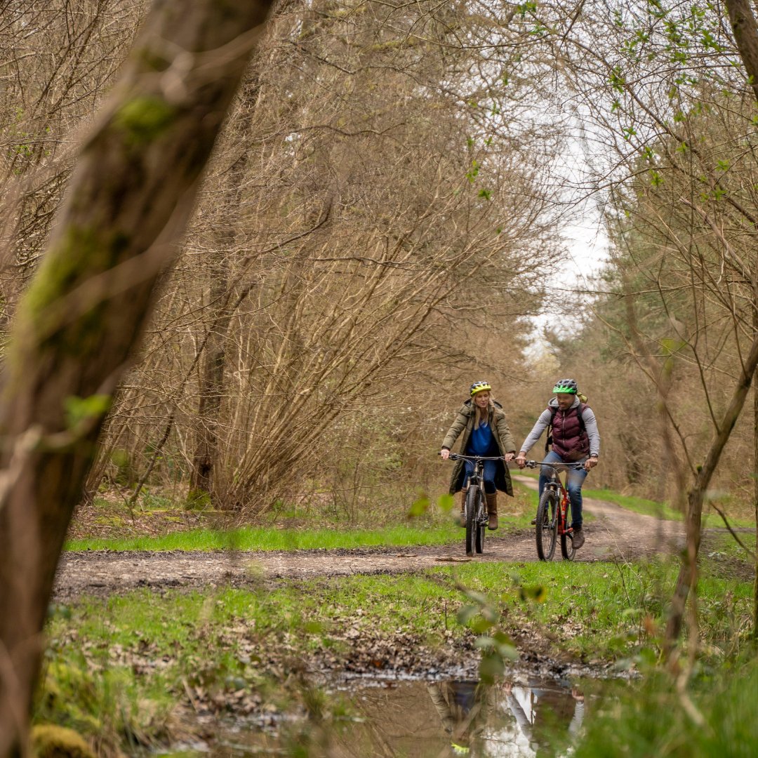 450 miles, one golden rule – forest trails only! 🌲 Join our brand-new cycling challenge and ride 450 miles, the distance between Kielder Forest and Cardinham Woods, over the next six months🚴 Are you up to the challenge? 👉 forestryeng.land/forest450-chal…
