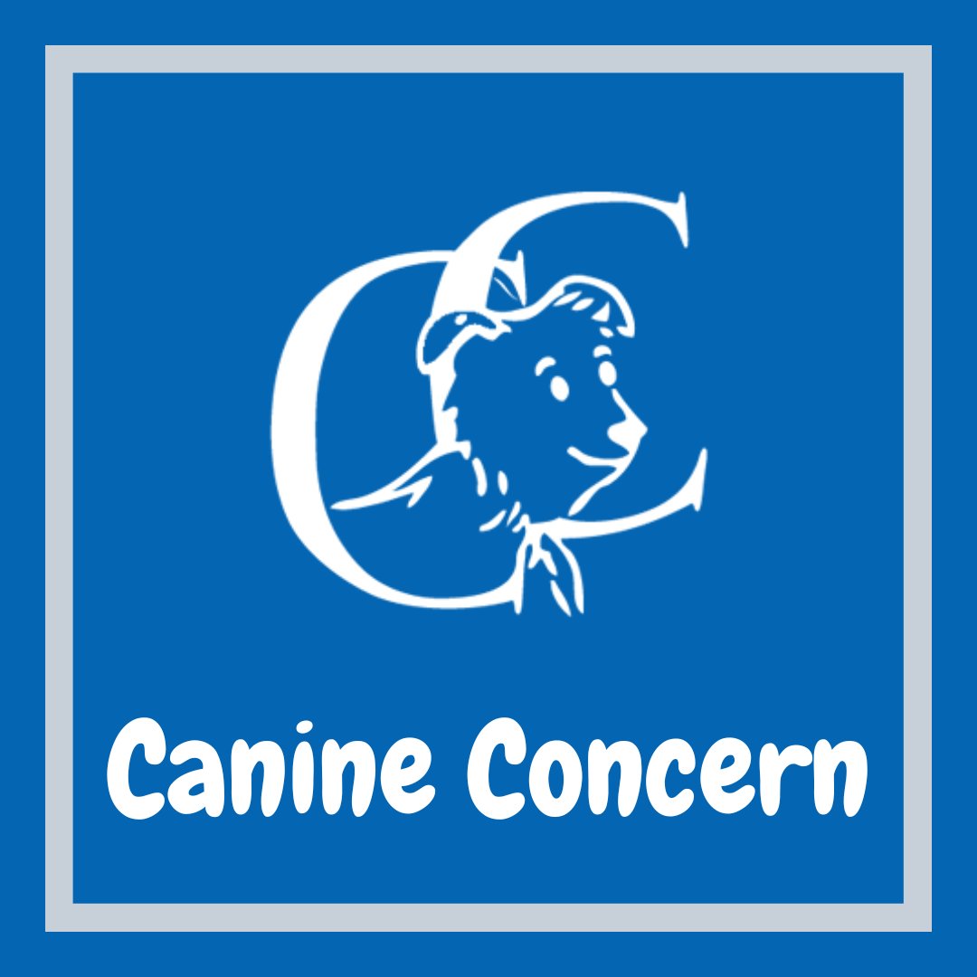 🐾We’re very proud of the achievements we’ve made. Our founder, Eve Waring, had a wonderful vision, and we’re glad that we’ve been able to carry it out.

For more on our history, read here:
canineconcern.co.uk/about-canine-c… 

#canineconcern #therapydogs #workingdogs #caredogs #ukcharity