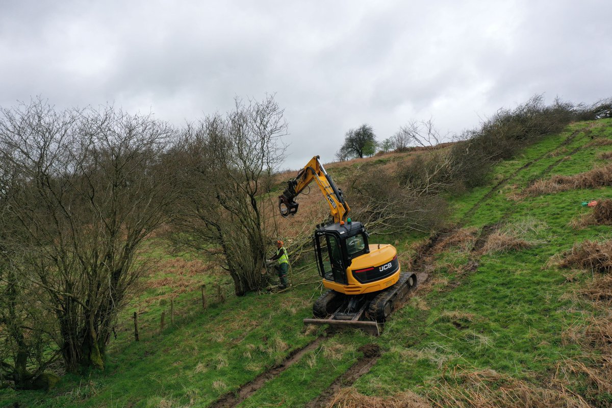 Introducing mechanical hedge laying! Developed in 2005 near Aylesbury, this method is quick and cost-effective ✅ At #WilderPentwyn Farm, we recently trialed this method. Stay tuned for training demonstrations next winter. Interested landowners, contact chloe@rwtwales.org.
