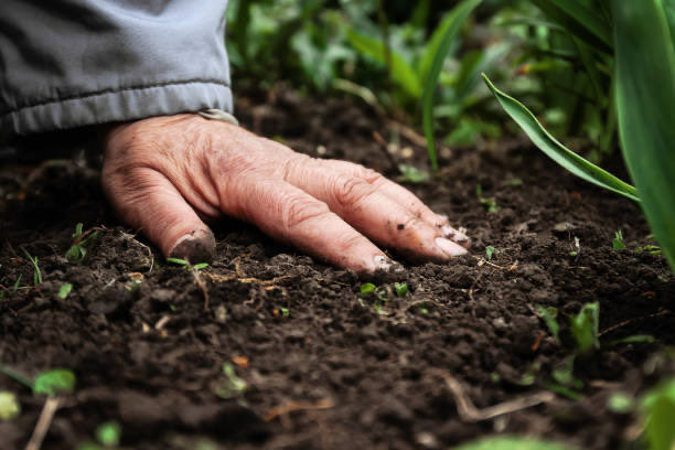 Farmers, Healthy soils are the ones that produce healthy crops.