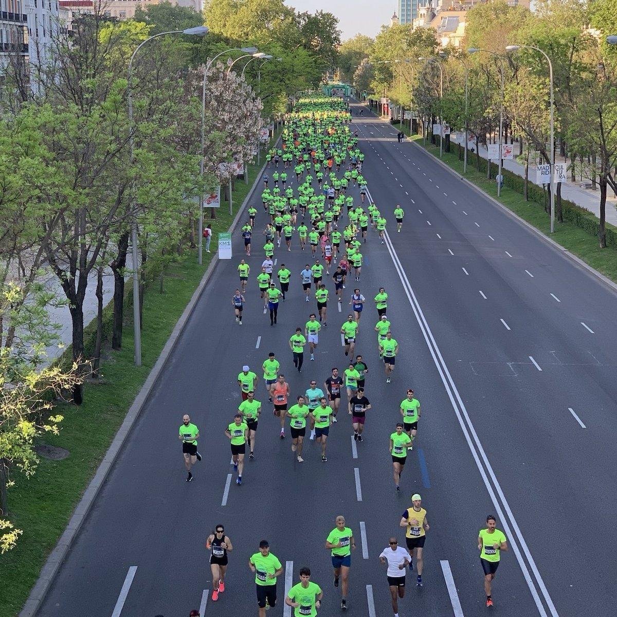 Muy orgullosos de haber participado en la XI Edición de la carrera @contracancermad 🙌 Junto con algunos de nuestros embajadores, nos unimos a los más de 23.000 corredores que inundaron las calles de Madrid de verde 💚 ¡Muchas gracias por sumar siempre! 🏃‍♀️‍➡️🏃‍♂️‍➡