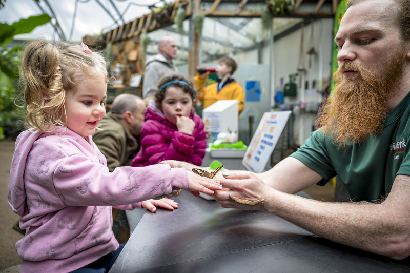 🎉🌲 It's a wrap on the Easter holidays, but the adventure continues here at the park! From April 16th to the end of October, all our attractions are fully open and ready for you to explore. Find out more and book tickets at: landmarkpark.co.uk