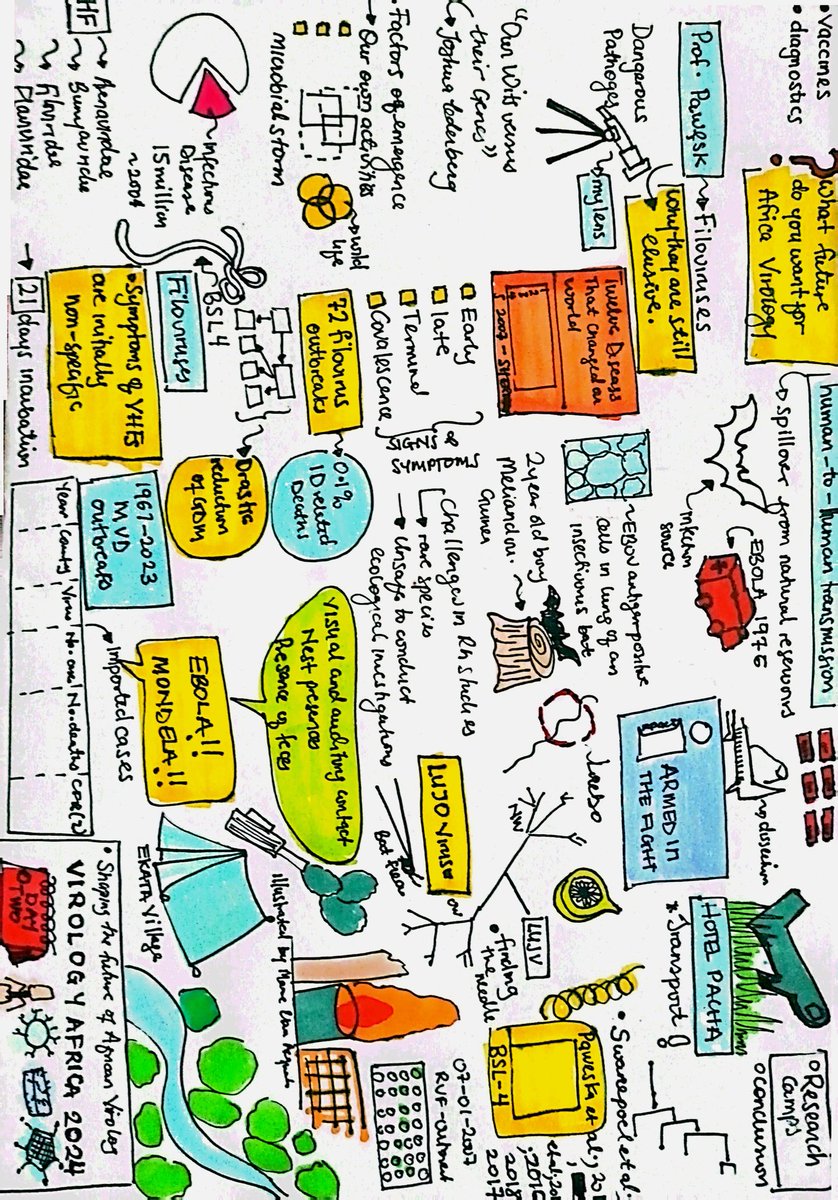 Interesting Day two at the Virology Africa conference. Filoviruses SARS-COV-2 and more. And an in-depth look into zooanthroponosis by Dr @angie_rasmussen #VirAf24 #littlemissillustrator