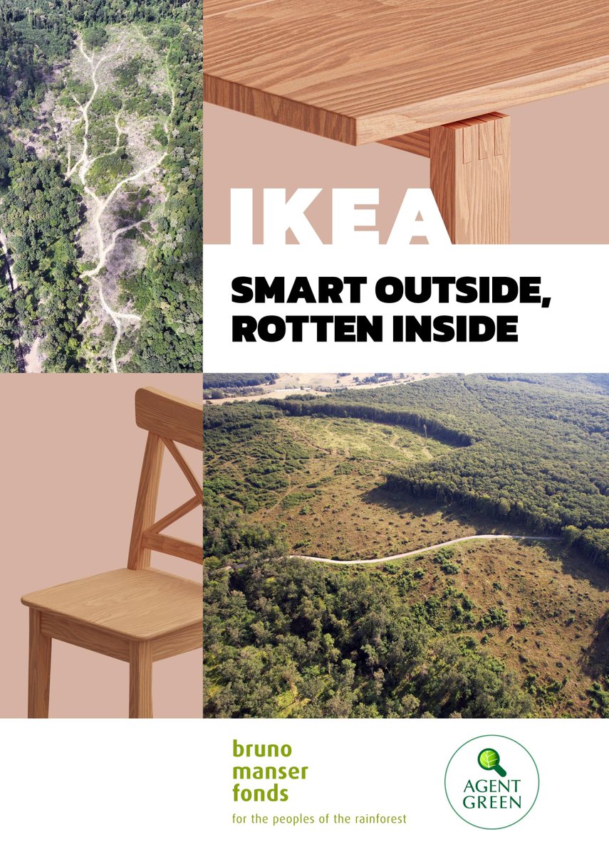New report by Agent Green & BMF shows that #IKEA as a wood consumer and the IKEA franchisee #Ingka as Romania’s largest private forest owner are complicit in destruction. Over 50 suspected law violations and bad forestry practices were found #IKEA #oldgrowthforests #natura2000