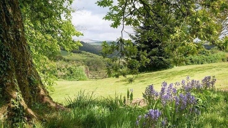 Peaceful life in the countryside