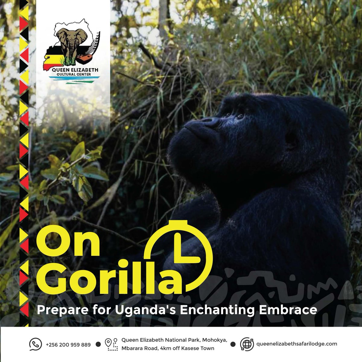 QueenEculcentre's tweet image. Happy Tuesday, culture enthusiasts! #DYK that gorillas exhibit unique individual personalities within their groups? Just like us, they can be shy, adventurous, or even mischievous! Follow us for more fascinating facts and join us on this wild journey of discovery! #FunFactTuesday