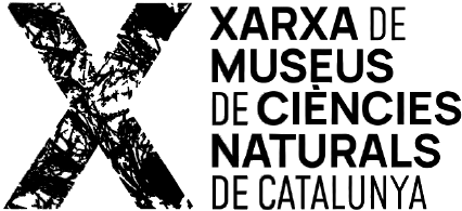 Coneixeu la Xarxa de Museus de Ciències Naturals de Catalunya? Tenim la gran sort de comptar amb ells en la docència de museologia del màster! xarxamuseusciencies.cat