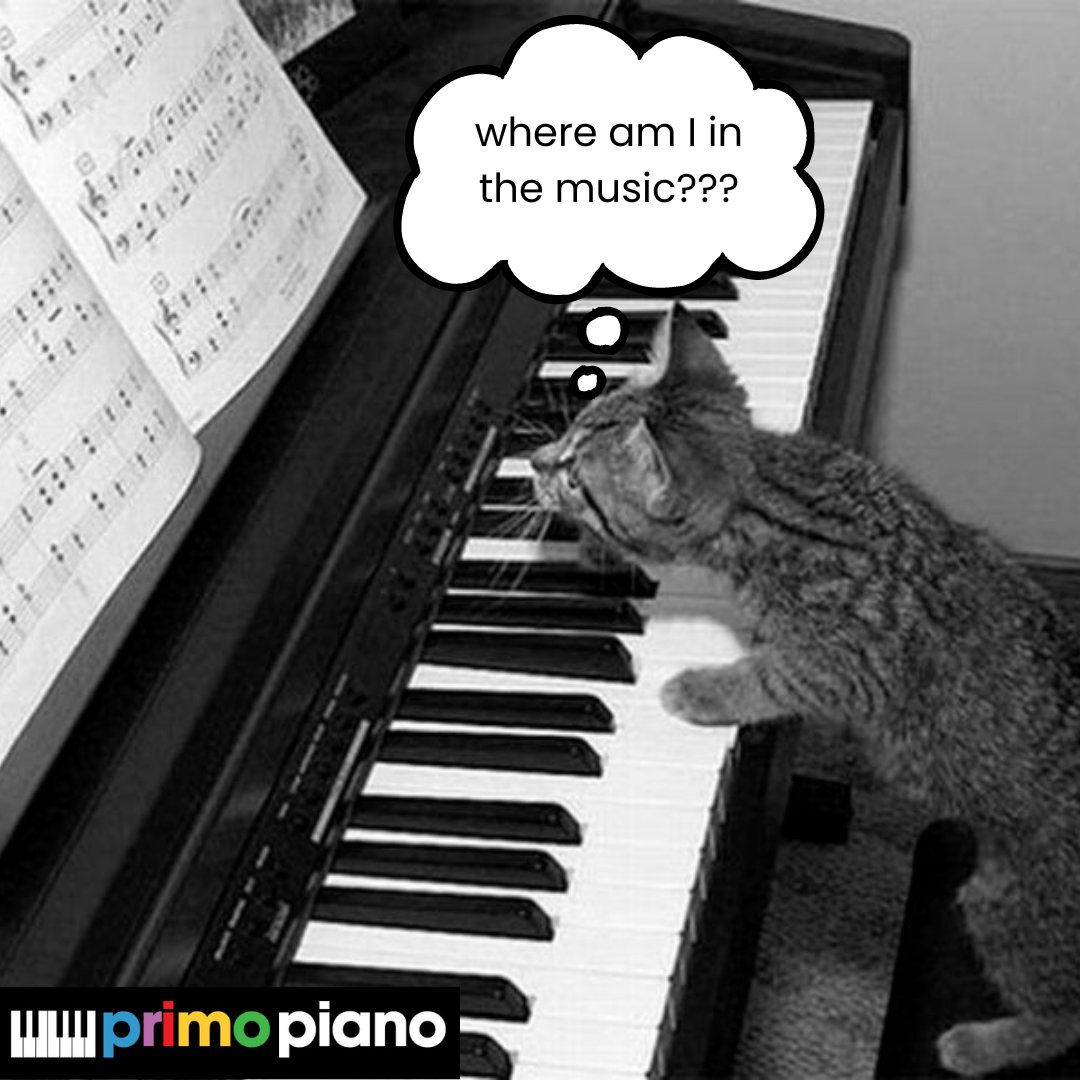 PrimoPianoSch's tweet photo. We have all been there! Where am I in the music?? Which bar?? Help!! At Primo Piano, we stress the importance of following the music, then you won't be confused like this kitten! #kittenpiano #catpiano #pianocat #primopiano #pianolessons #cardifflessons https://t.co/P00bsZkMSw
