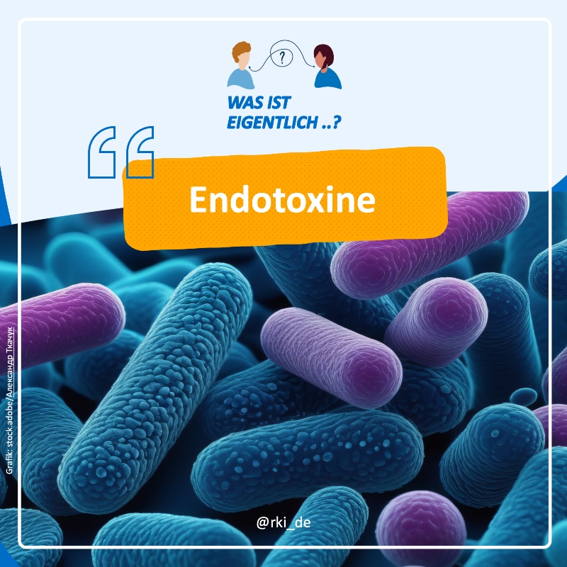 rki_de's tweet photo. 🦠 #Bakterien können sich „maskieren“ und so das menschliche #Immunsystem mit unterschiedlichen Erscheinungsformen täuschen. Dabei spielen #Endotoxine eine entscheidende Rolle.

❓❗️ Welche das ist und wie das Ganze funktioniert, erklären wir kurz &amp; knapp in #WasIstEigentlich. ⬇️