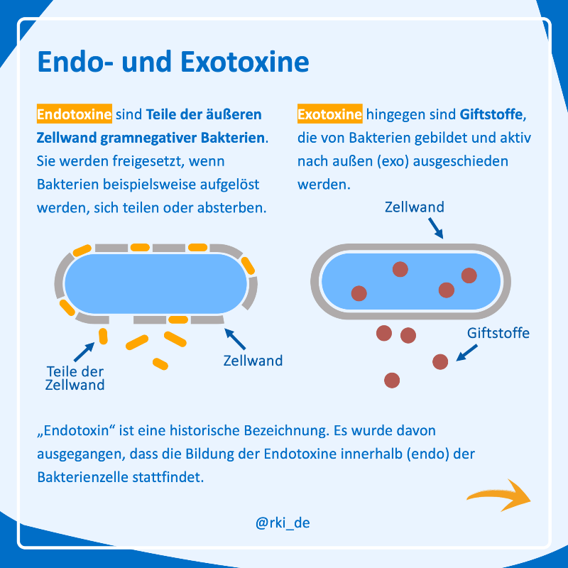 rki_de's tweet photo. 🦠 #Bakterien können sich „maskieren“ und so das menschliche #Immunsystem mit unterschiedlichen Erscheinungsformen täuschen. Dabei spielen #Endotoxine eine entscheidende Rolle.

❓❗️ Welche das ist und wie das Ganze funktioniert, erklären wir kurz &amp; knapp in #WasIstEigentlich. ⬇️