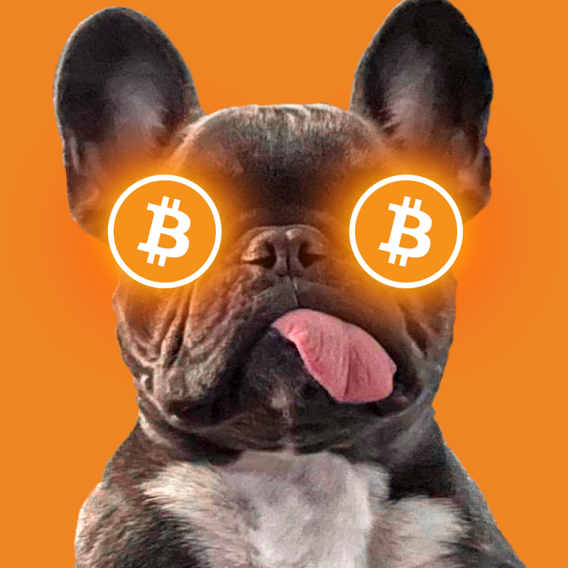 💵They say never trust a skinny chef or a clean French Bulldog. With #JamesWoof , expect dirty paws and full wallets! #BitcoinHalving2024 #memecoins