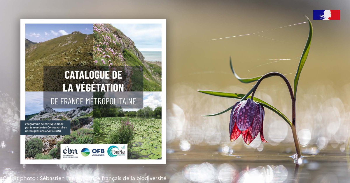 🌿 Le Catalogue de la végétation de France métropolitaine est un projet du réseau des conservatoires botaniques nationaux, réalisé en collaboration avec l'@OFBiodiversite et PatriNat (OFB-@Le_Museum) 👉 + d'infos : fcbn.fr/content/catalo… #MaBiodiversité