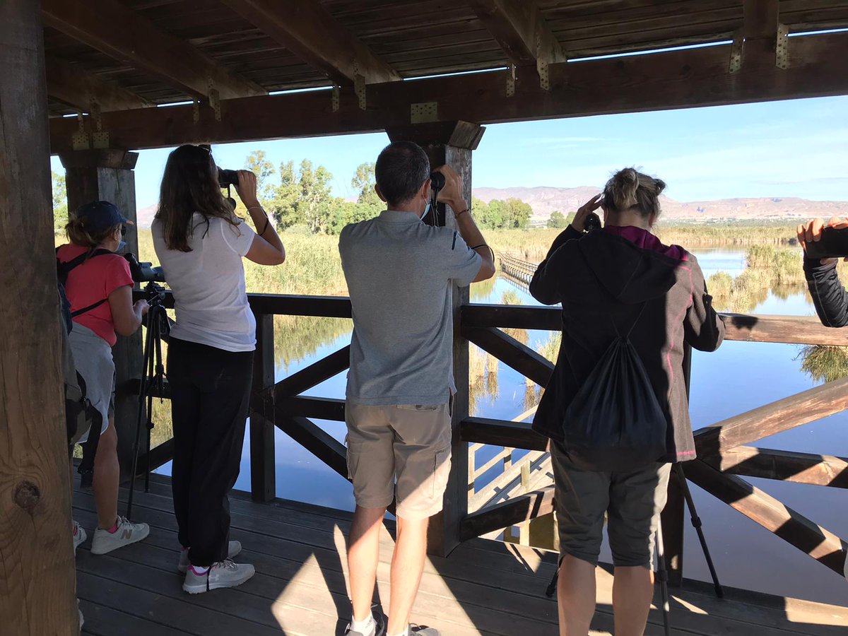 visitelche's tweet photo. Los parques naturales Salinas de Santa Pola, Lagunas de La Mata-Torrevieja y El Hondo Elche-Crevillente forman un triángulo de humedales muy importante para el ciclo biológico de las especies de aves que migran, nidifican o invernan en la provincia? 🐦🦆🦃 https://t.co/OBt5UBukbV