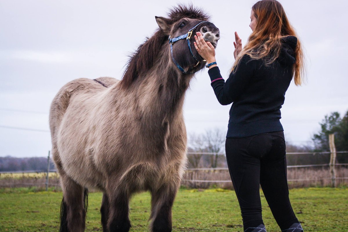 The beauty of a picture lies in the tale it conveys.❤

#friendshipcollar #friendshipcollarequine #equine #equinephotography #horse #horseriding #horses #horsesofinstagram #horselove #equinesofinstagram #equinelife #pony #love #friendship #lifestyle #explorepage #fyp #fashion