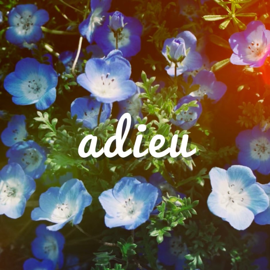 yuu_tomoha's tweet photo. YouTube🆙
友羽『adieu(demo)』Lyric Video
https://t.co/mmB3N2yTnw

ーー様々な呪縛から永遠のさよならを。

#友羽
#オリジナル曲 https://t.co/5W0cgD1ruF