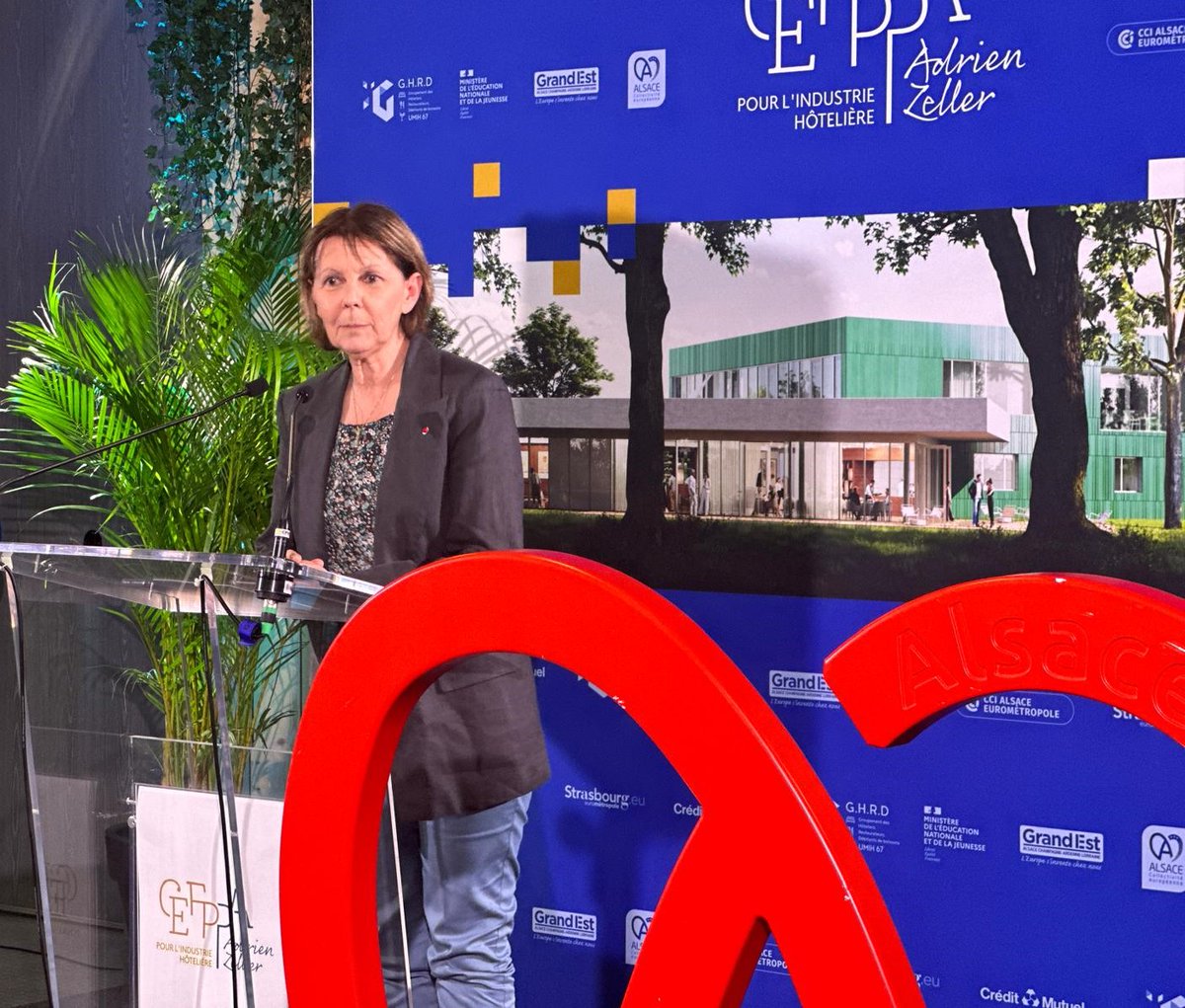 Préfet de région Grand Est & du Bas-Rhin 🇫🇷🇪🇺 tweet media