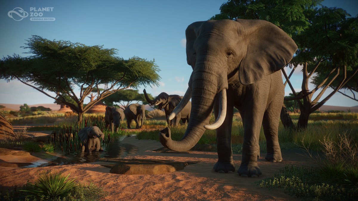 Hayo Zookeepers, To help those affected by the 0cc issue on Planet Zoo: Console Edition we have added a reimbursement of the basic cc you would have received, plus a little extra. This should be on your accounts soon and will cover those recently affected.