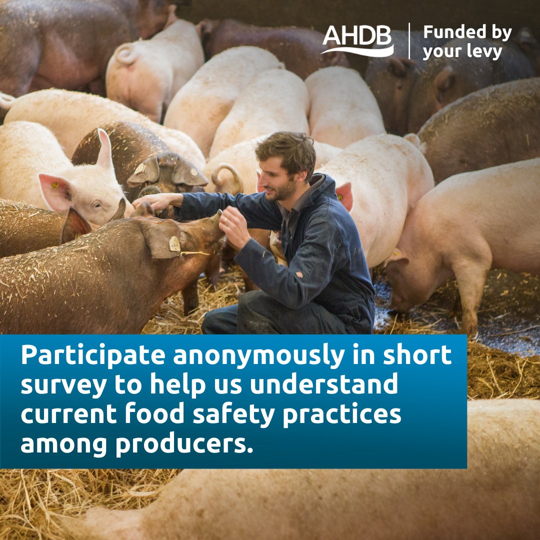 📢Pig producer views wanted! We want to hear from you to help us understand food safety perceptions in the industry. Your insights are crucial to understanding current practices and any barriers and solutions. Complete the survey here 👉 ow.ly/uZyh50RgSRv