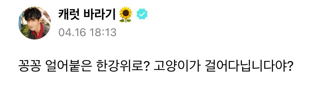 꽁꽁 얼어붙은 한강 위로 겸냥이기 걸어다니는구나
