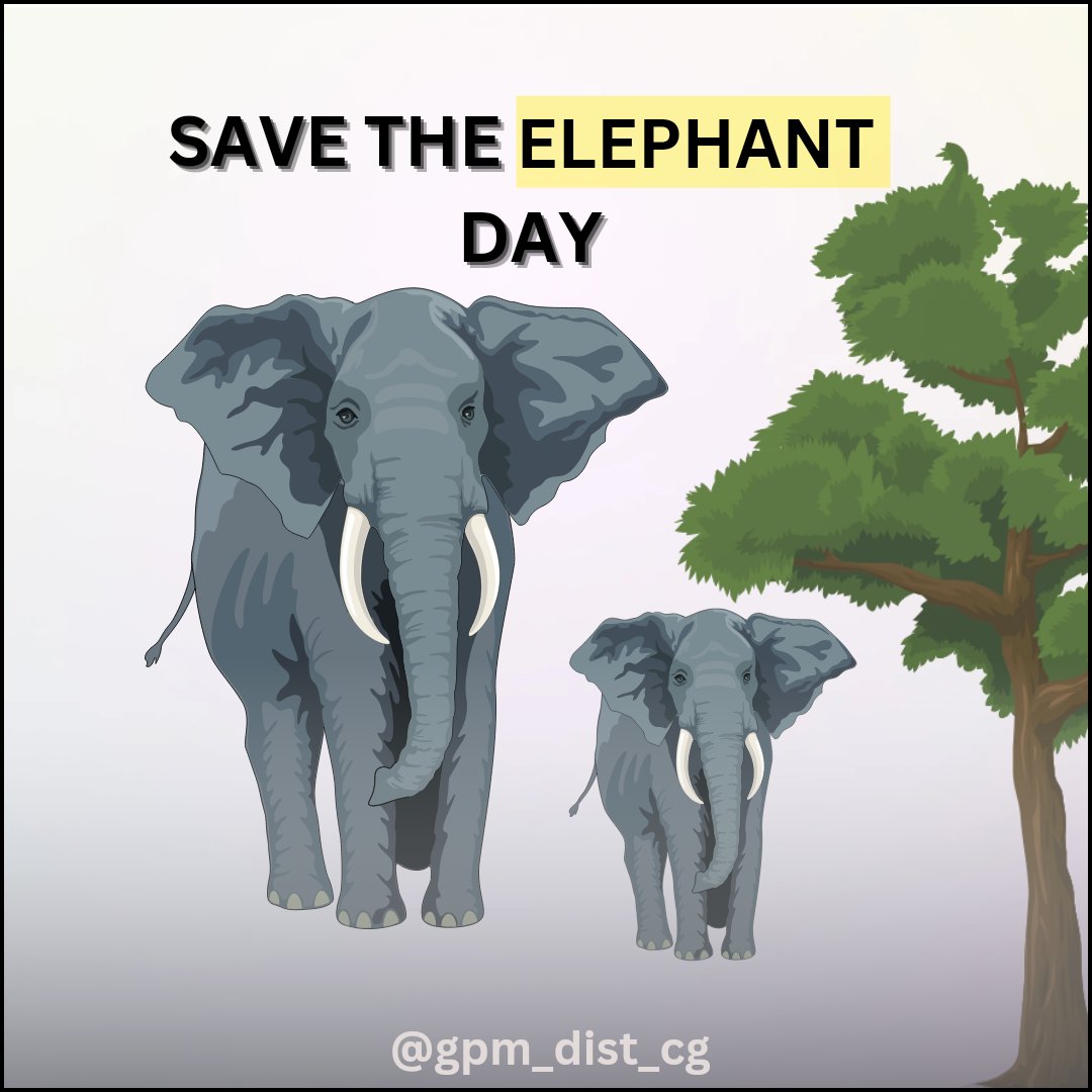 हाथी हमर साथी- हाथियों के संरक्षण में अपना सहयोग जरूर दे। 

#savetheelephants 
#GPM