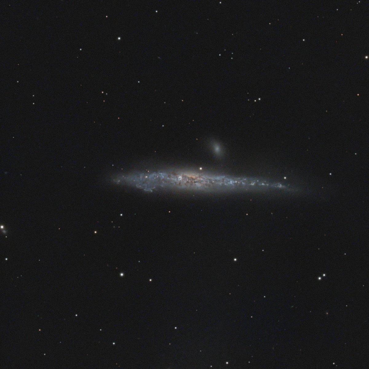 NGC4631