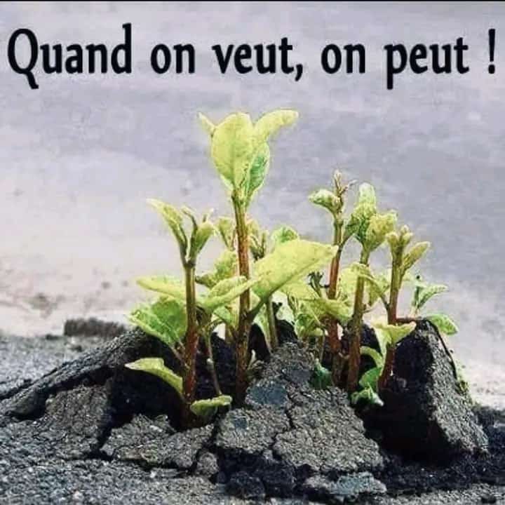 Ibalanky a dit: La politique? C’est toute une culture qu’il faut cultiver et avoir*: - Le respect des normes, la dignité et l’excellence! - ⁠Pas d’insultes, pas des guerres médiatiques inutiles avec des armées numériques, pas d’opposition opportuniste basée sur les critiques