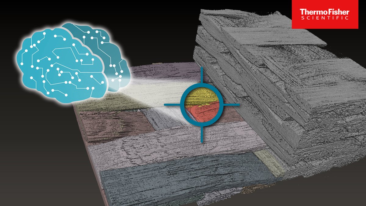 Anton du Plessis tweet media