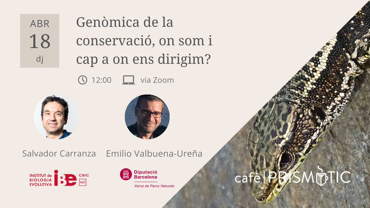 Prismàtic tweet media