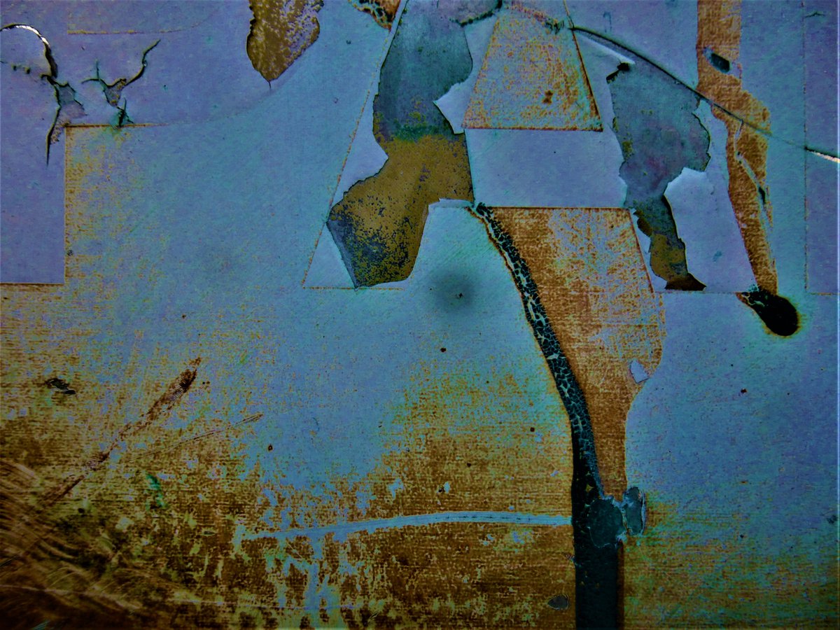 penny rimbaud tweet media
