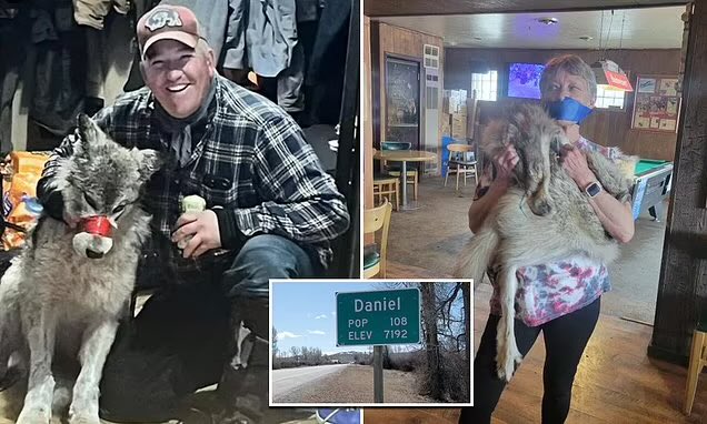 Wyoming town defends wolf killer Cody Roberts who paraded predator in local bar, insisting the animals are a danger to their way of life. So it is ok to torture & inflict fear & pain on wolves then! 😡 dailymail.co.uk/news/article-1…