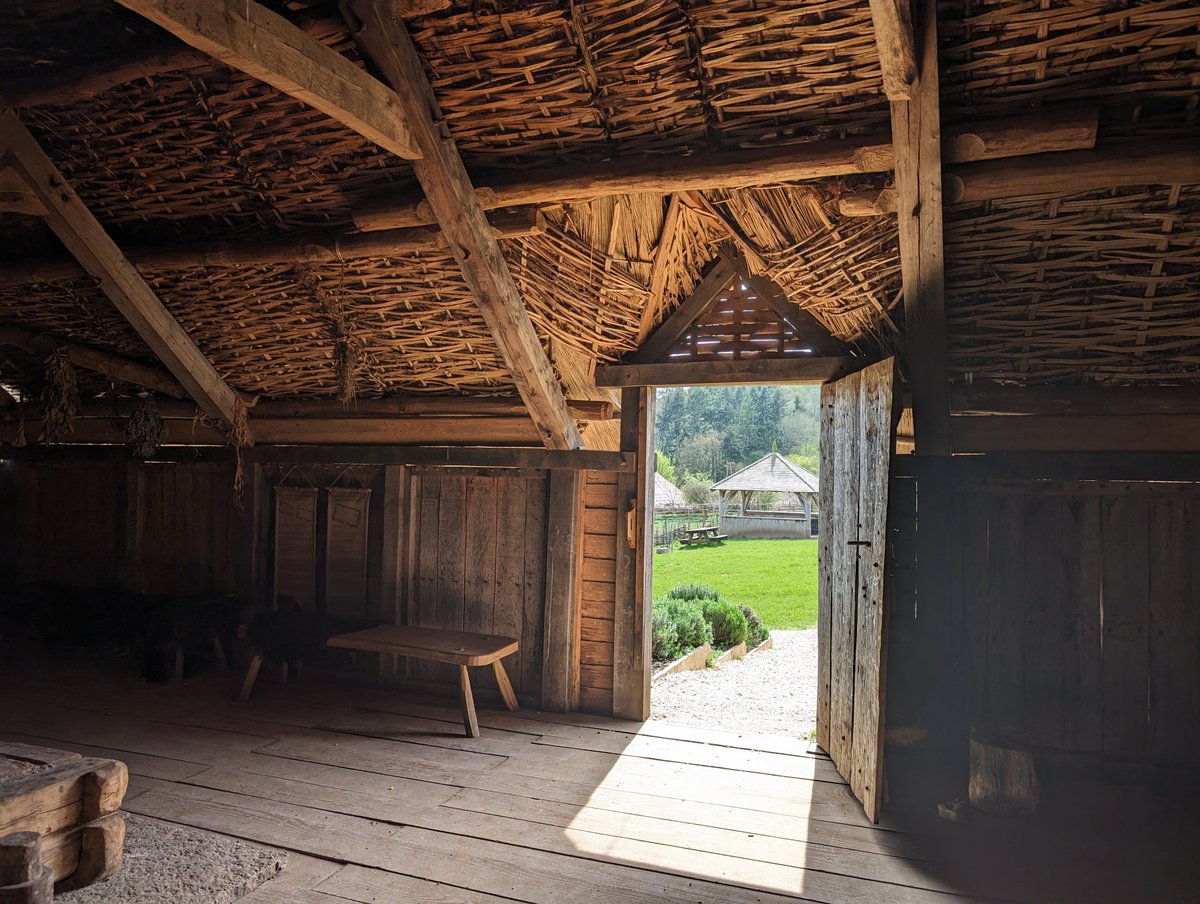 Springtime sunshine in our Saxon hall ☀️🌻