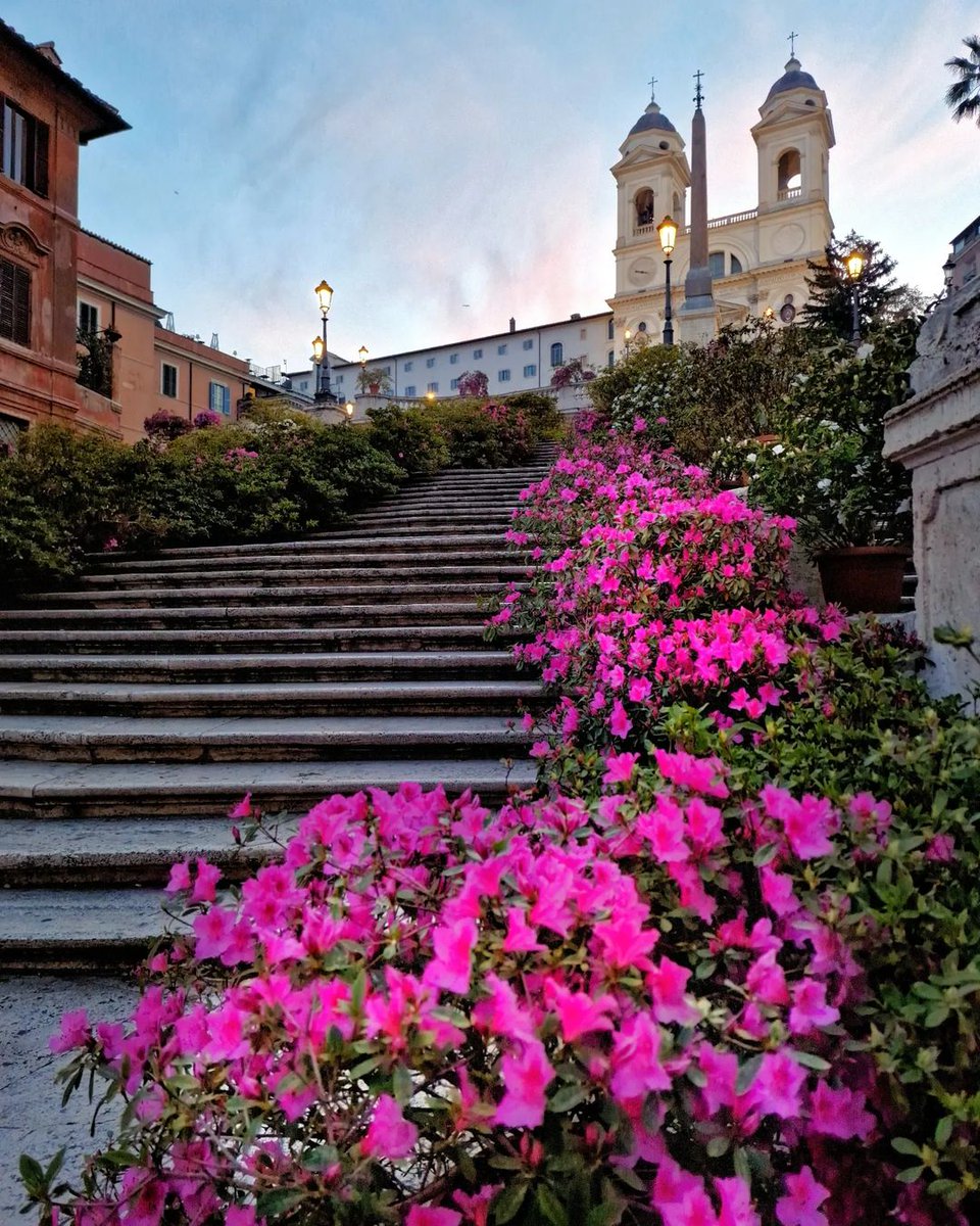 Turismoromaweb's tweet photo. Le #azalee sono tornate a Piazza di Spagna, e la scalinata di Trinità dei Monti è un tripudio di colori!🌺
https://t.co/IjURsDwUNd
Piazza di Spagna and the Trinità dei Monti are in full bloom with azaleas! 🌺
https://t.co/5cjTs6Q5M1
📸IG: cimmix82
#visitrome https://t.co/2nTYkPJ8wC